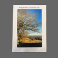 United Kingdom Photographs
